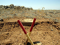 В Ираке погиб британский сапер