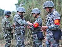 Сирийские военные пройдут обучение в Китае