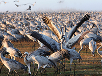 В Москве открылась фотовыставка 