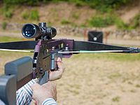 В Торонто три человека убиты из арбалета