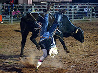 Родео вверх тормашками: фестиваль в Каннамалле. Фоторепортаж