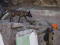 ЧП в Тель-Авиве: пропавшими без вести считаются семь человек