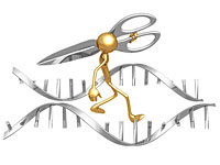 Китайские ученые изобрели 