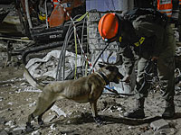 В результате обрушения парковки погибли гражданин Украины, израильтянин и рабочий из ПА