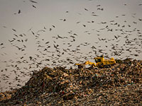 На мусорной свалке в Негеве фотограф обнаружил  секретные документы ЦАХАЛа