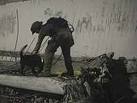 Обнаружено тело пятого погибшего в результате обрушения парковки в Тель-Авиве