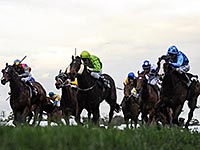 Конный спорт: на соревнованиях в Минске погиб 21-летний российский спортсмен