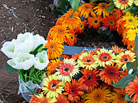 12 сентября в Акко похоронят Олега Мишалова и Руслана Исакова, погибших при обвале здания в Тель-Авиве