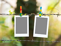 В Будапеште осквернен мемориал, посвященный жертвам Холокоста