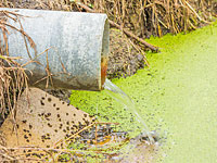 Командир дивизии Иудеи и Самарии оштрафован за загрязнение почвы

