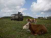 Посольство США рекомендовало американцам воздержаться от поездок на Голаны