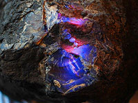 Бизнесмен из Сингапура купил крупнейший в мире янтарь массой более 50 кг