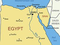 Россия запретила импортировать овощи и фрукты из Египта