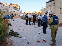 Теракт в Гуш-Эционе, ранен офицер ЦАХАЛа