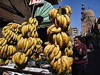 Египет создает комиссию, чтобы предотвратить сельскохозяйственную войну с Россией