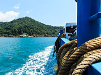 
У берегов Таиланда перевернулся паром с туристами: не менее 10 погибших 