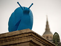 Едим медленно и со вкусом - фестиваль Terra Madre Slow Food в Турине