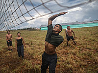 Мирная жизнь 