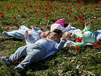 Данные за 5776-й еврейский год: в Израиле родились почти 187 тысяч детей