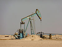Египет приватизирует нефтяную промышленность    