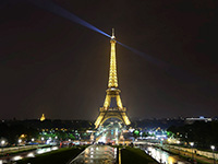 Daily Mail: ложное сообщение о теракте в Париже было разослано произраильскими хакерами