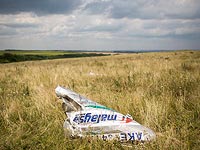 На месте крушения Boeing-777 авиакомпании Malaysia Airlines. Июль 2014 года   