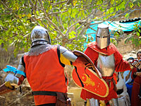 Новый год в кругу  рыцарей 
