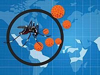 В 16 провинциях Таиланда всех беременных женщин проверят на вирус Зика