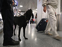 Нью-Йорк: воры сорвали теракт, украв сумку со взрывчаткой