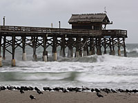 Число жертв урагана