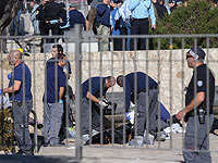 Араб, перевозивший террористов-убийц, приговорен к двум годам тюремного заключения