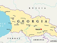 МИД: израильтяне, находящиеся в Грузии, замешаны в ДТП  