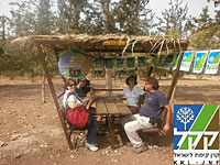 ККЛ начинает раздачу ветвей для строительства шалашей к Суккоту