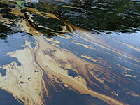 У побережья Кирьят-Яма обнаружено масляное пятно