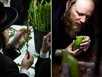 Израильтяне готовятся к празднику Суккот. Фоторепортаж