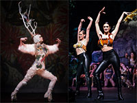 Шоу дизайна World of Wearable Art в Новой Зеландии. Фоторепортаж