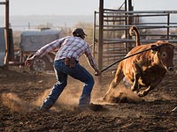 Еврейские ковбои на Голанах. Фоторепортаж