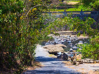 На Бали погибли три иностранных туриста