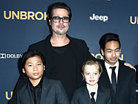 TMZ сообщило причину развода Джоли и Питта: дебош в самолете
