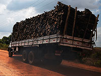 Кнессет запретил снабжать палестинских углежогов древесиной