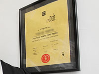 70% выпускников юрфаков не сдали экзамен на лицензию