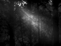 Иерусалимская 