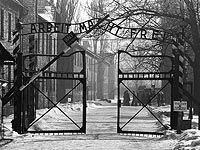 Немецкий суд приговорил к 8 месяцам тюрьмы неонациста за татуировку с фотографией Освенцима
