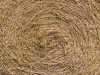 Бизнесмен из Владикавказа построил себе в центре города дом из соломы