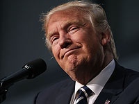 Обезьяна Геда, 