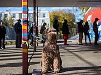 День выборов в США. Фоторепортаж