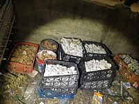 Полиция конфисковала бутылки с зажигательной смесью и петарды в деревне Манда