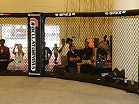 Россиянин неудачно дебютировал в Bellator: нокаут на 16-й секунде