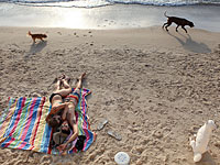 Швейцарка, отправившаяся в путешествие за любовью, оценила израильских мужчин