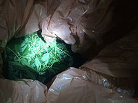 В Ашдоде задержаны четырнадцать подозреваемых в торговле наркотиками